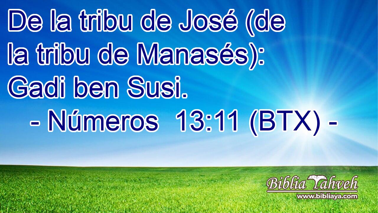 De la tribu de José (de la tribu de Manasés): Gadi ben Susi.