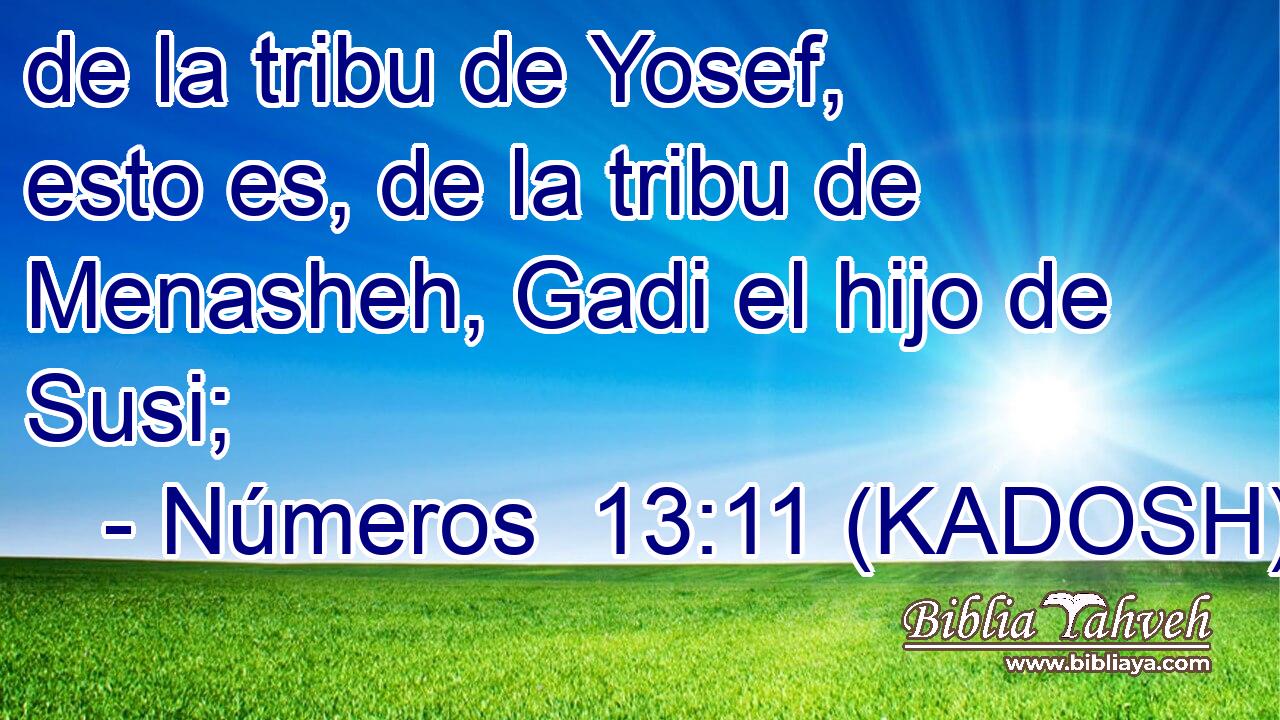  de la tribu de Yosef, esto es, de la tribu de Menasheh, Gadi el hijo de Susi; 