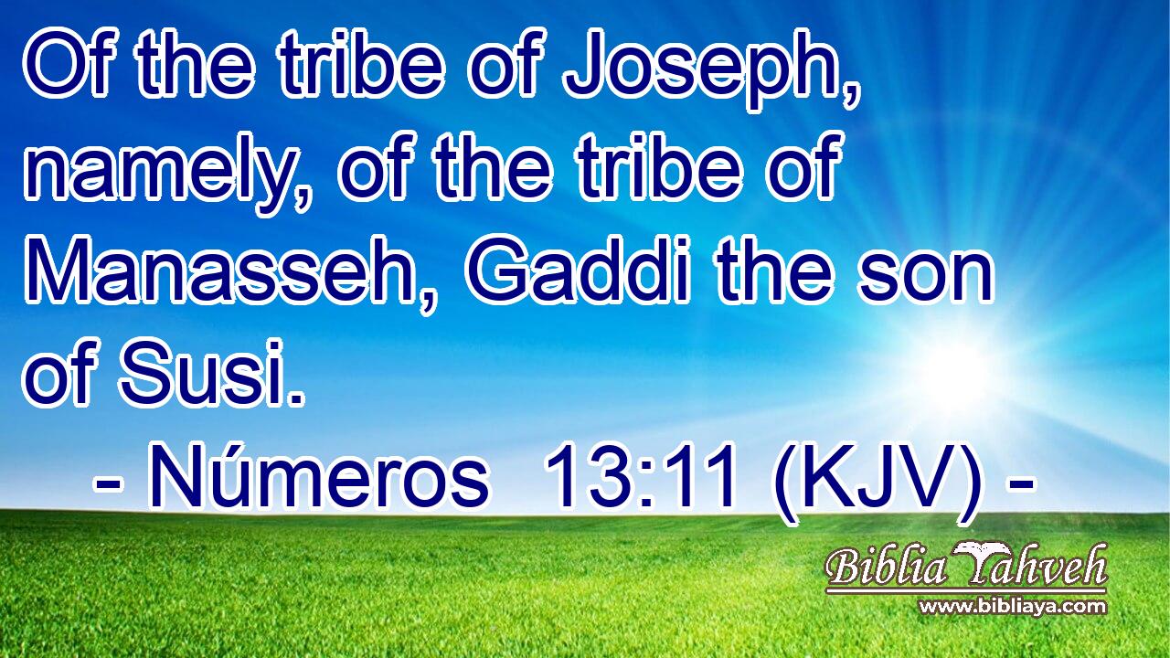 Of the tribe of Joseph, namely, of the tribe of Manasseh, Gaddi the son of Susi.