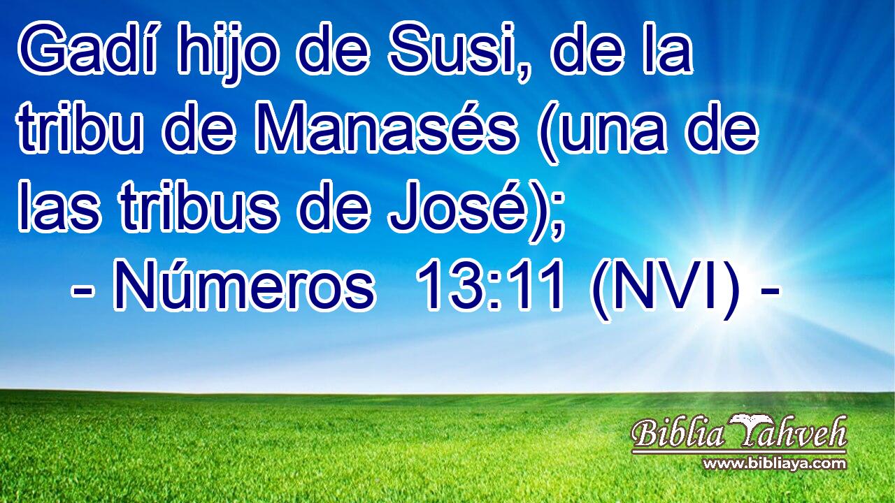  Gadí hijo de Susi, de la tribu de Manasés (una de las tribus de José); 
