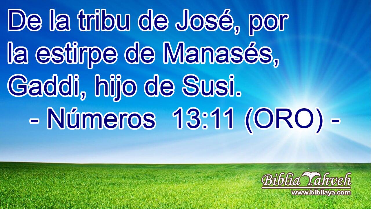  De la tribu de José, por la estirpe de Manasés, Gaddi, hijo de Susi. 