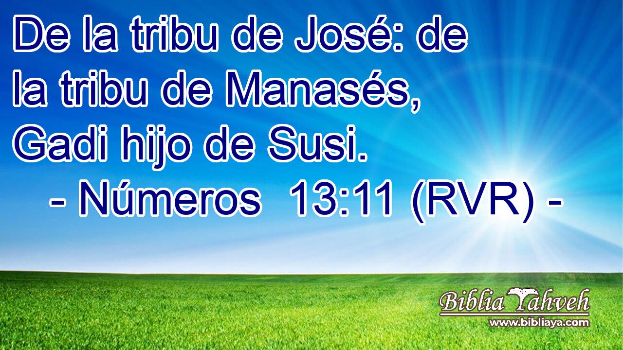 De la tribu de José: de la tribu de Manasés, Gadi hijo de Susi.