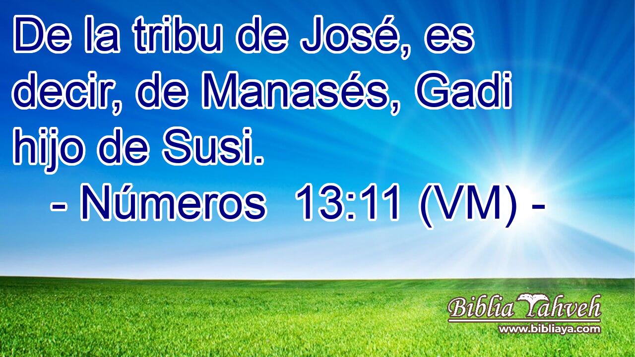  De la tribu de José, es decir, de Manasés, Gadi hijo de Susi. 