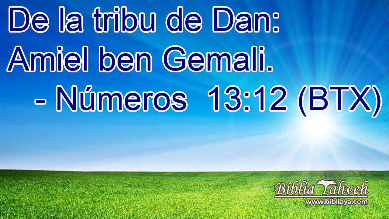 De la tribu de Dan: Amiel ben Gemali.