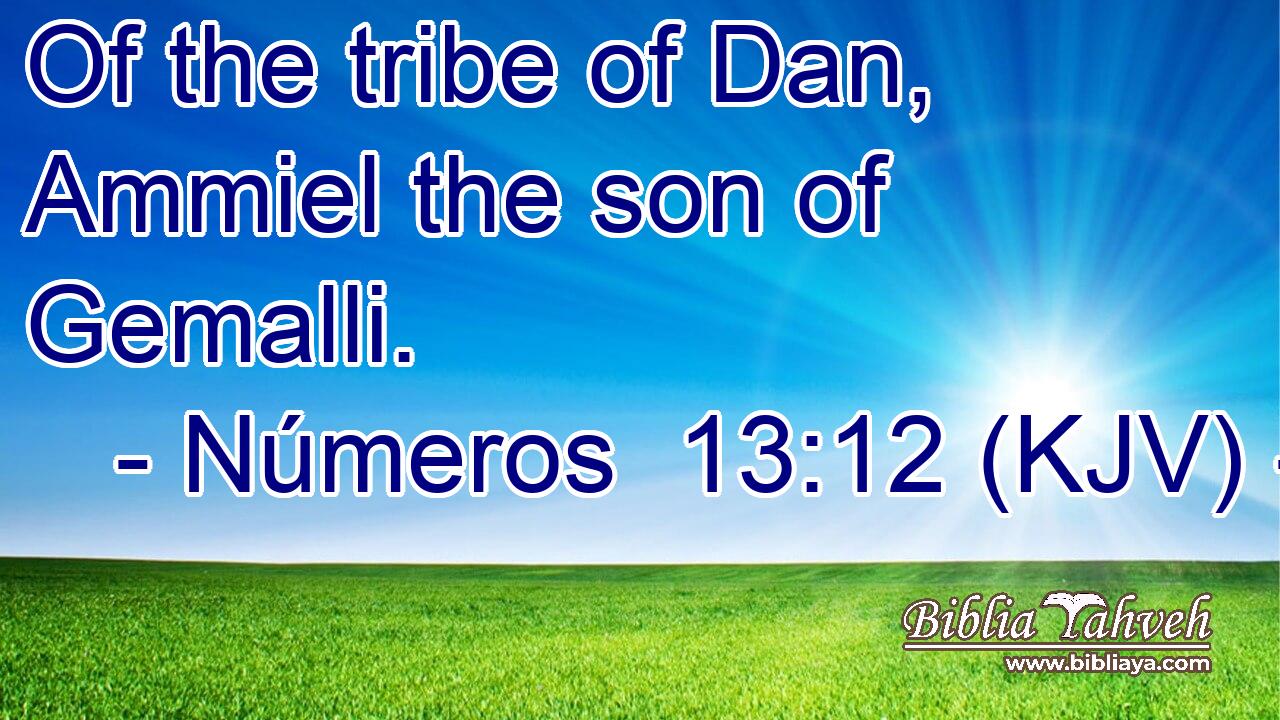 Of the tribe of Dan, Ammiel the son of Gemalli.