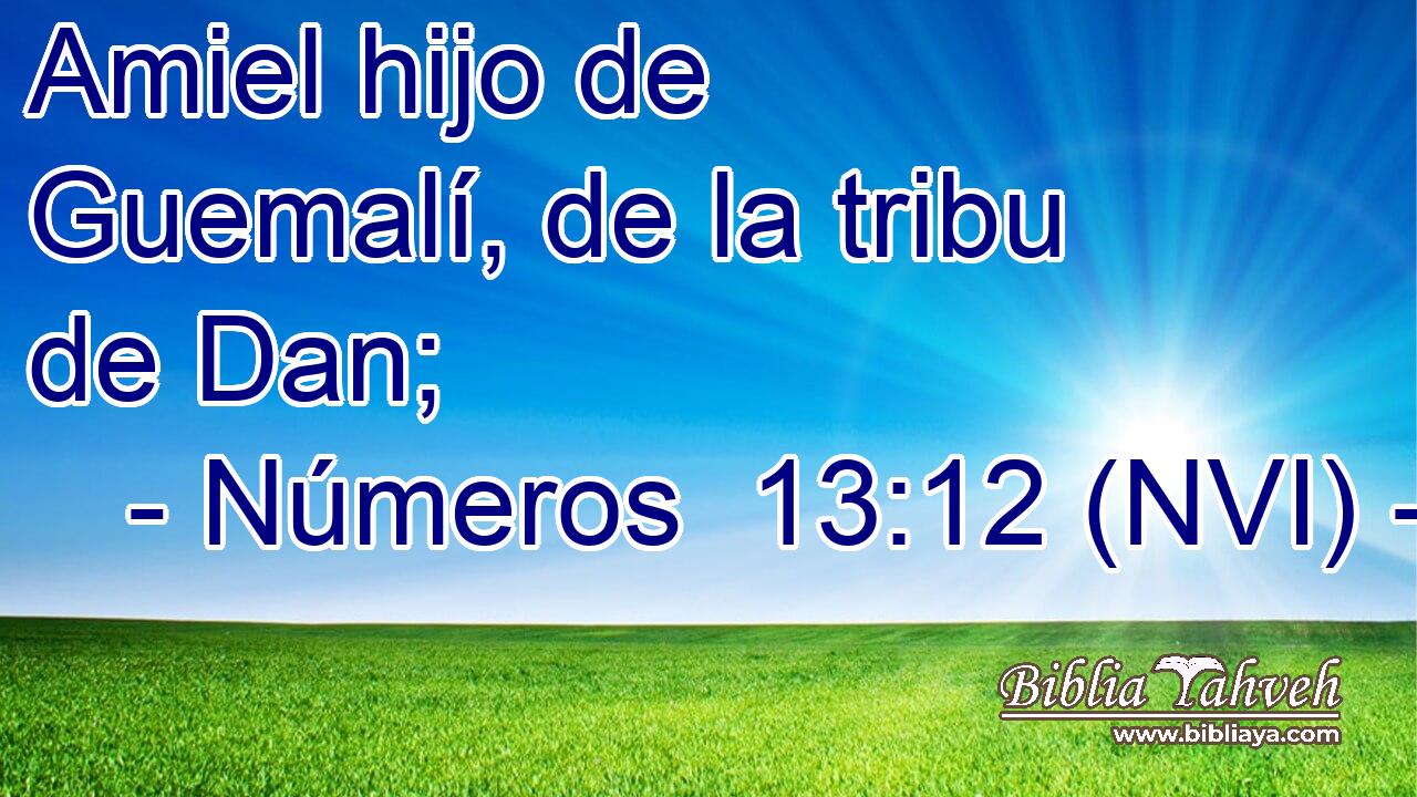  Amiel hijo de Guemalí, de la tribu de Dan; 
