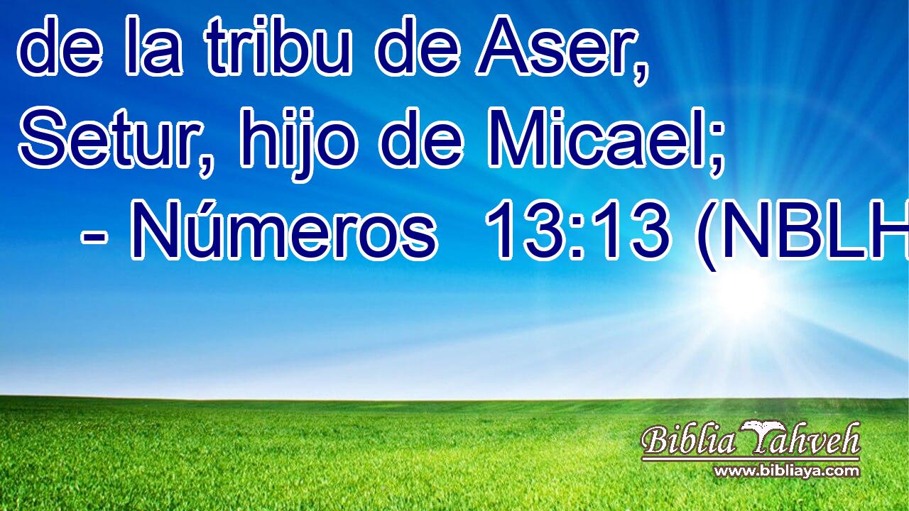  de la tribu de Aser, Setur, hijo de Micael; 