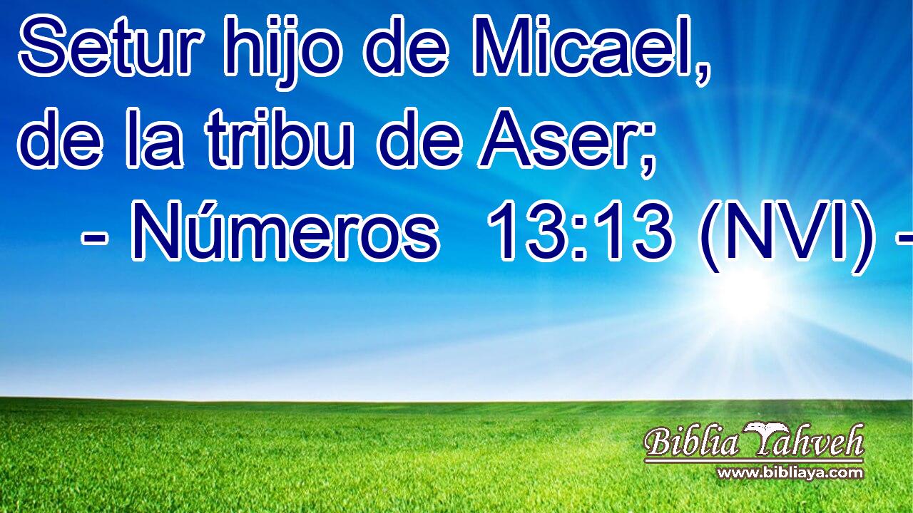  Setur hijo de Micael, de la tribu de Aser; 