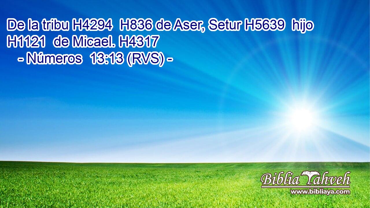De la tribu H4294  H836 de Aser, Setur H5639  hijo H1121  de Micael. H4317  
