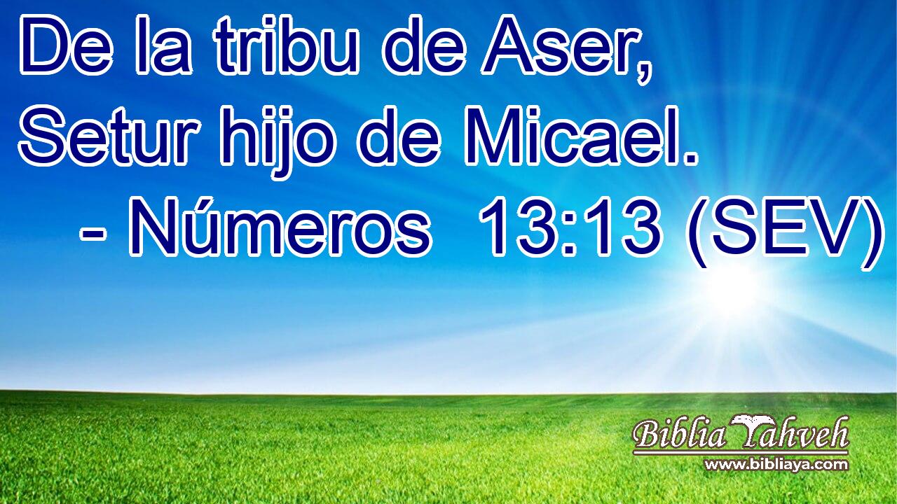 De la tribu de Aser, Setur hijo de Micael.