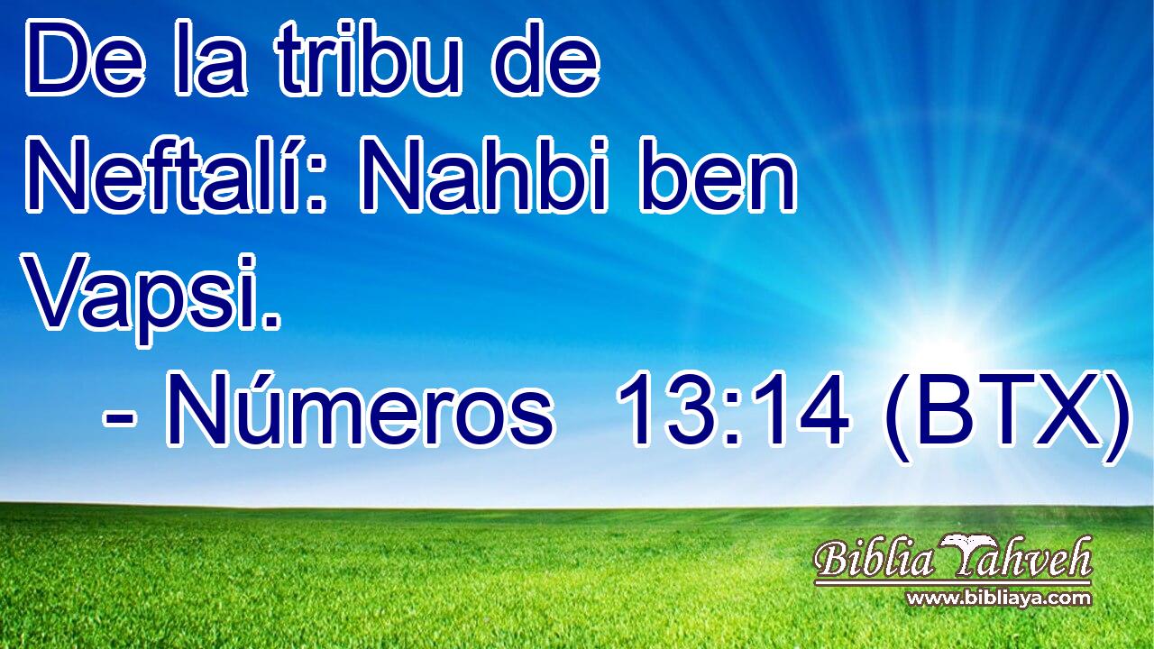 De la tribu de Neftalí: Nahbi ben Vapsi.