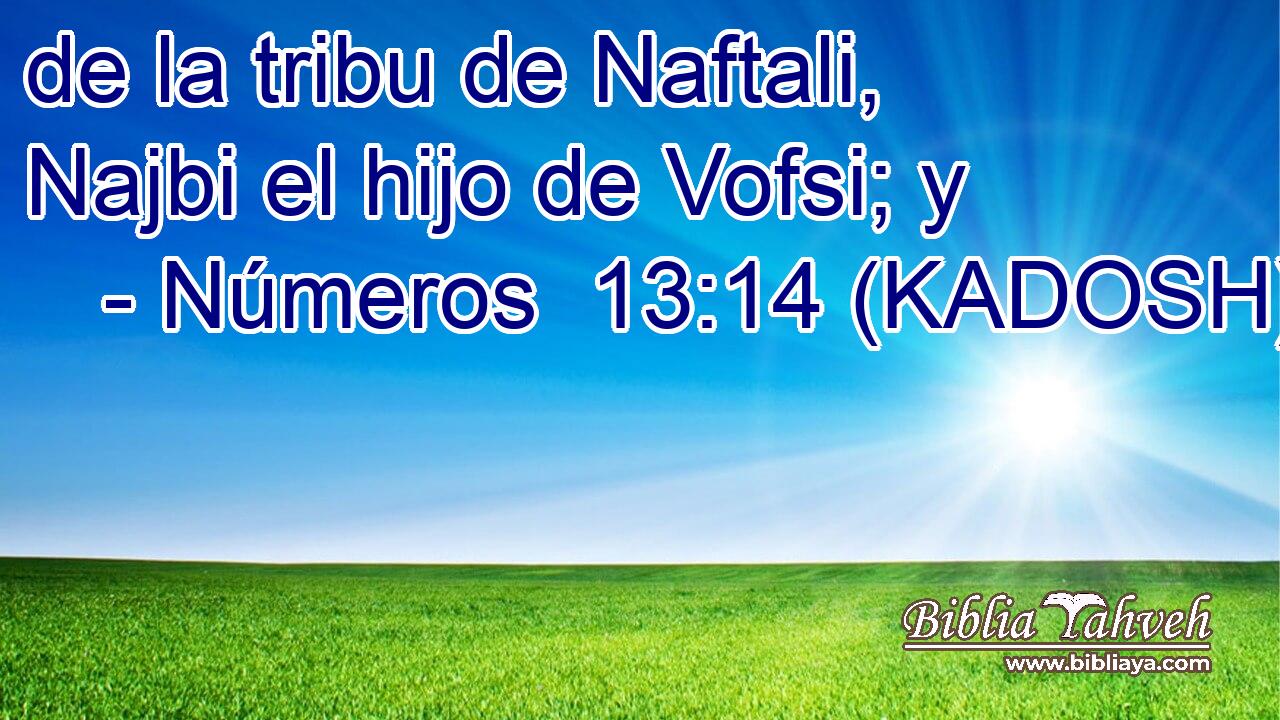  de la tribu de Naftali, Najbi el hijo de Vofsi; y 