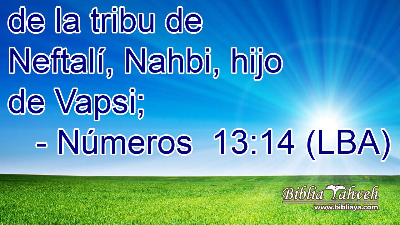 de la tribu de Neftalí, Nahbi, hijo de Vapsi;
