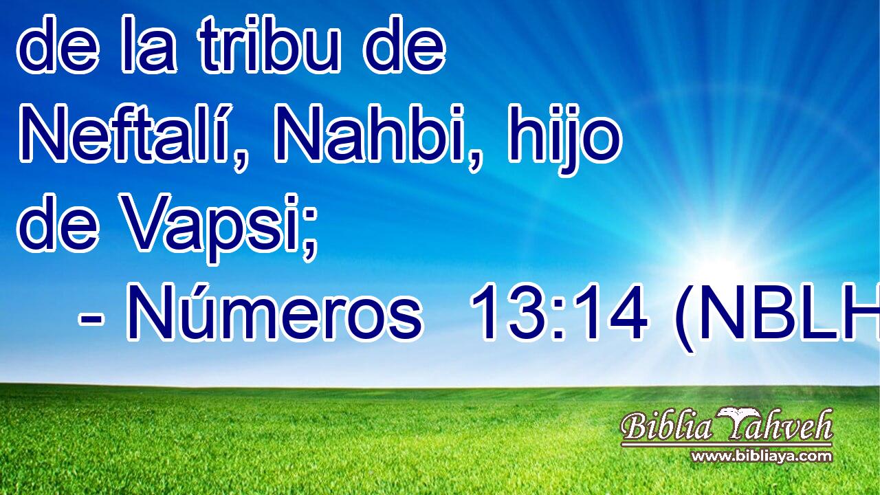  de la tribu de Neftalí, Nahbi, hijo de Vapsi; 