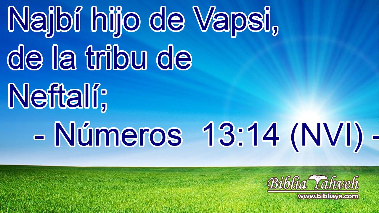  Najbí hijo de Vapsi, de la tribu de Neftalí; 