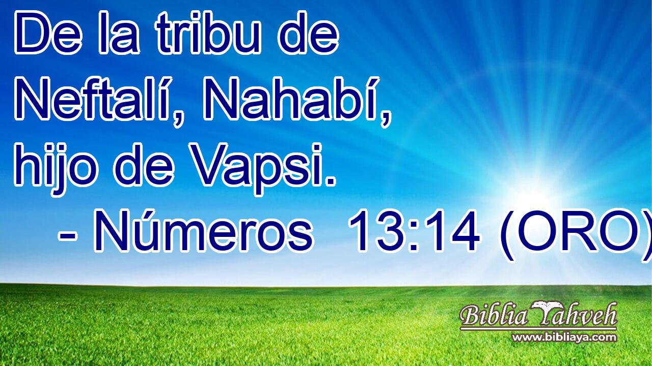  De la tribu de Neftalí, Nahabí, hijo de Vapsi. 