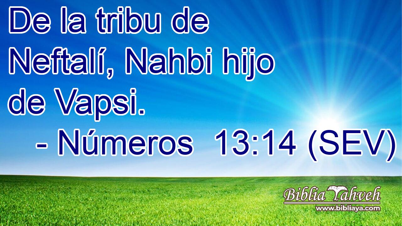 De la tribu de Neftalí, Nahbi hijo de Vapsi.
