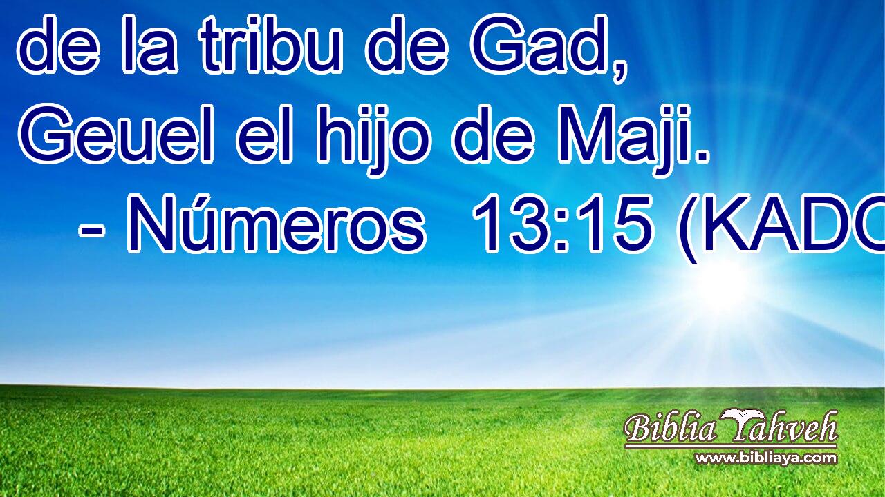  de la tribu de Gad, Geuel el hijo de Maji. 