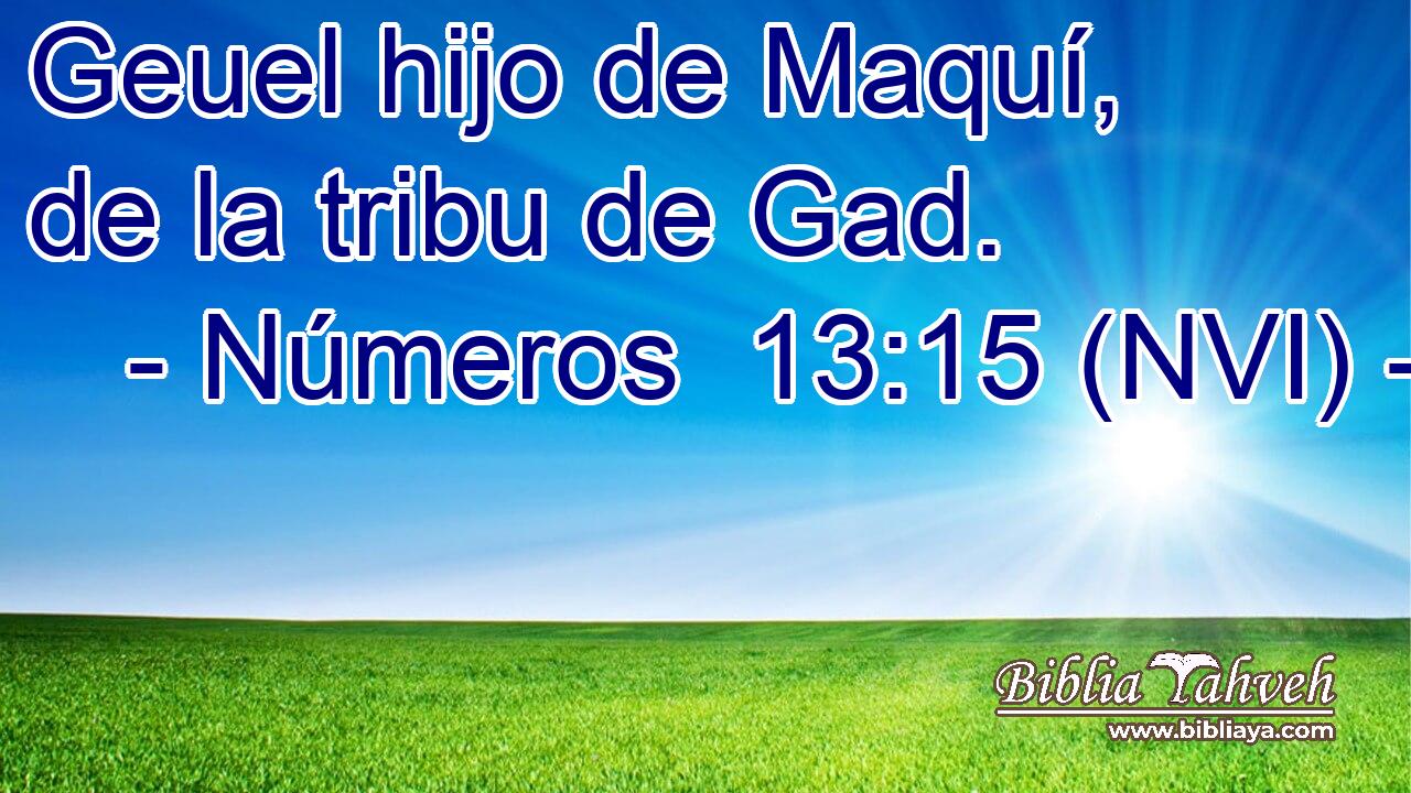 Geuel hijo de Maquí, de la tribu de Gad. 