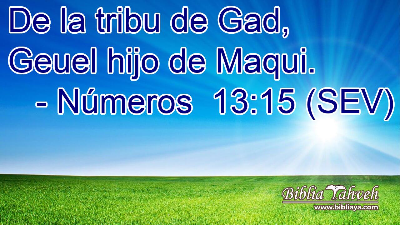 De la tribu de Gad, Geuel hijo de Maqui.