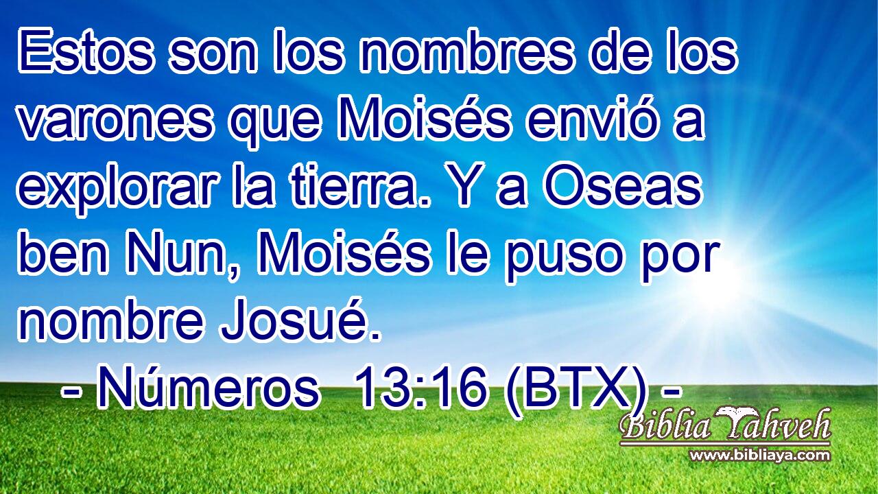 Estos son los nombres de los varones que Moisés envió a explorar la tierra. Y a Oseas ben Nun, Moisés le puso por nombre Josué.