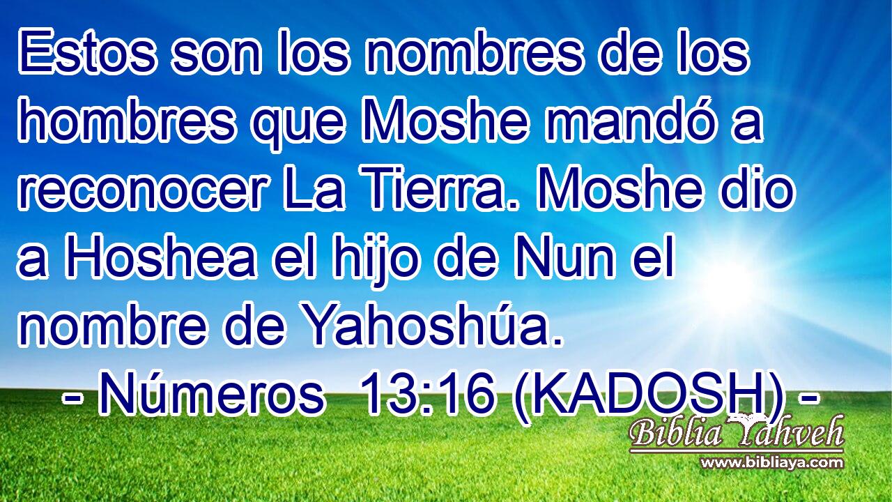  Estos son los nombres de los hombres que Moshe mandó a reconocer La Tierra. Moshe dio a Hoshea el hijo de Nun el nombre de Yahoshúa. 