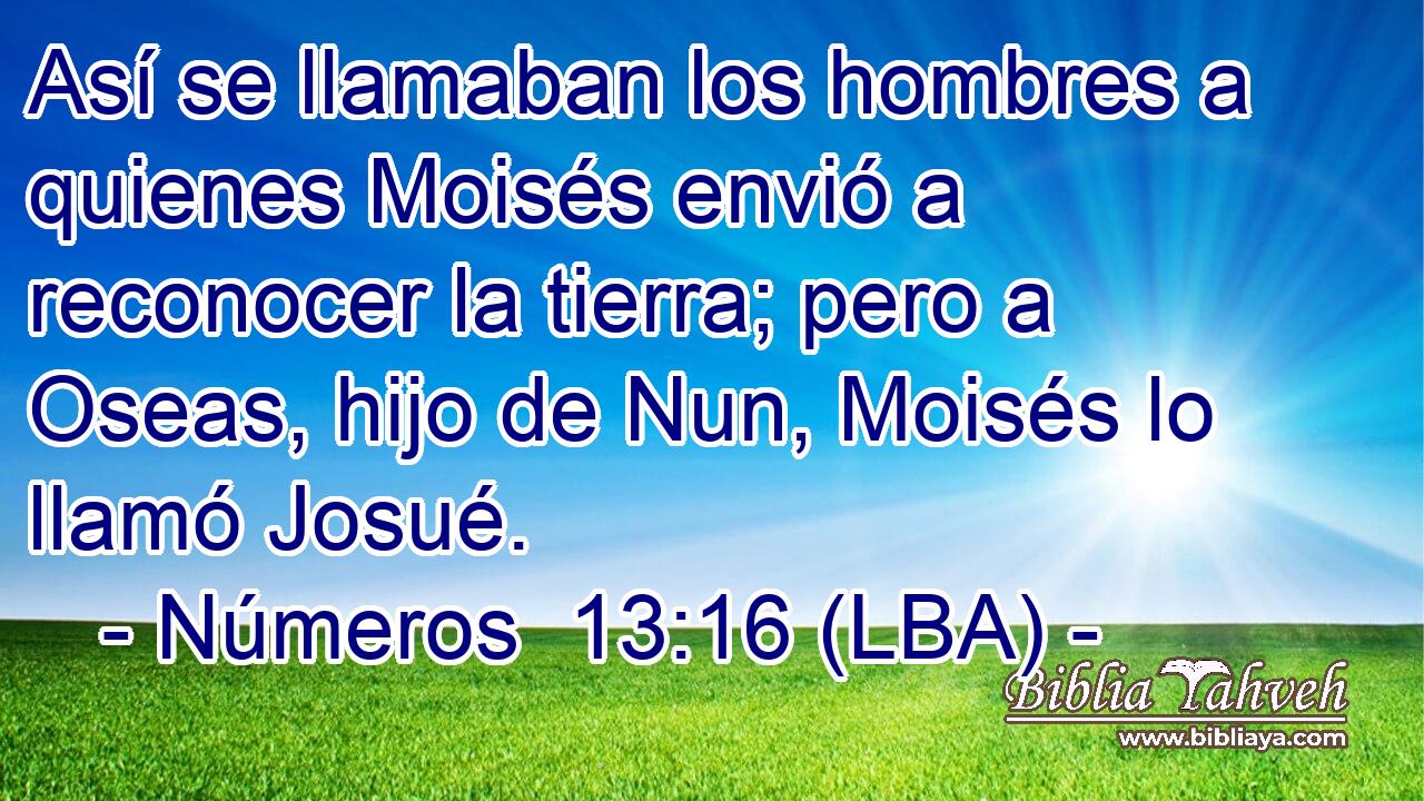 Así se llamaban los hombres a quienes Moisés envió a reconocer la tierra; pero a Oseas, hijo de Nun, Moisés lo llamó Josué.