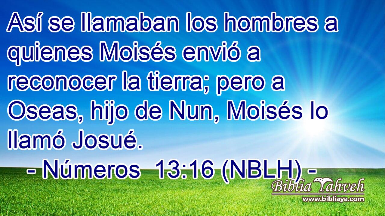  Así se llamaban los hombres a quienes Moisés envió a reconocer la tierra; pero a Oseas, hijo de Nun, Moisés lo llamó Josué. 