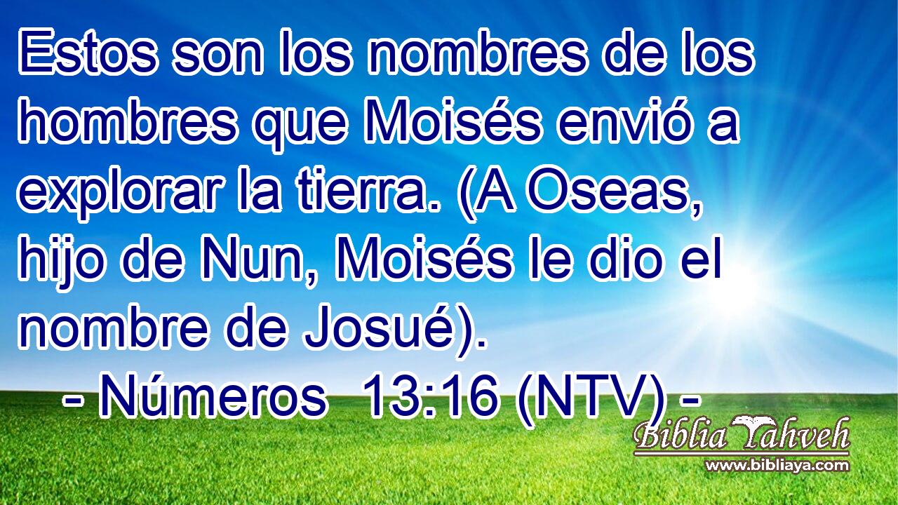 Estos son los nombres de los hombres que Moisés envió a explorar la tierra. (A Oseas, hijo de Nun, Moisés le dio el nombre de Josué).