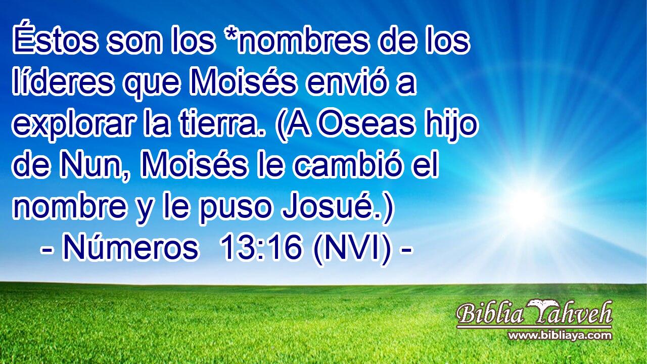  Éstos son los *nombres de los líderes que Moisés envió a explorar la tierra. (A Oseas hijo de Nun, Moisés le cambió el nombre y le puso Josué.) 