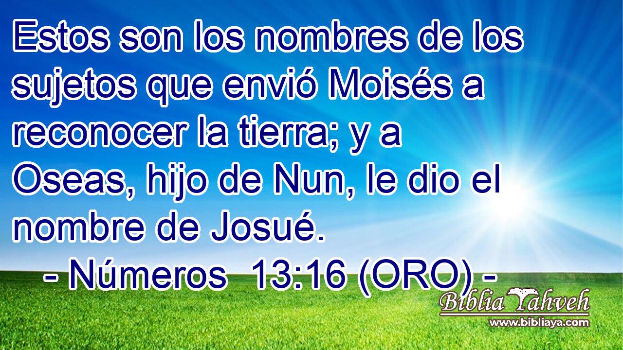 Estos son los nombres de los sujetos que envió Moisés a reconocer la tierra; y a Oseas, hijo de Nun, le dio el nombre de Josué. 