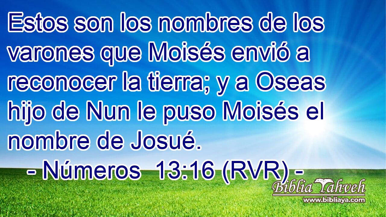 Estos son los nombres de los varones que Moisés envió a reconocer la tierra; y a Oseas hijo de Nun le puso Moisés el nombre de Josué.