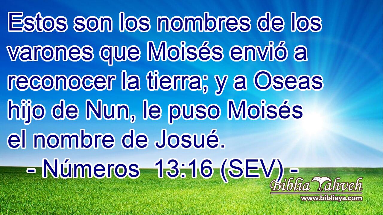 Estos son los nombres de los varones que Moisés envió a reconocer la tierra; y a Oseas hijo de Nun, le puso Moisés el nombre de Josué.