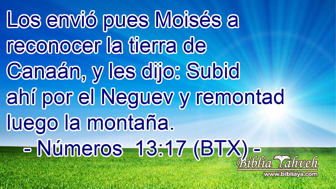 Los envió pues Moisés a reconocer la tierra de Canaán, y les dijo: Subid ahí por el Neguev y remontad luego la montaña.