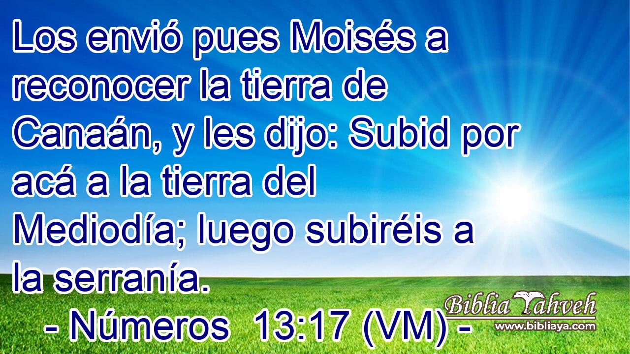  Los envió pues Moisés a reconocer la tierra de Canaán, y les dijo: Subid por acá a la tierra del Mediodía; luego subiréis a la serranía. 