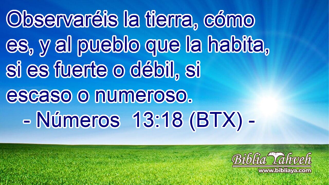 Observaréis la tierra, cómo es, y al pueblo que la habita, si es fuerte o débil, si escaso o numeroso.