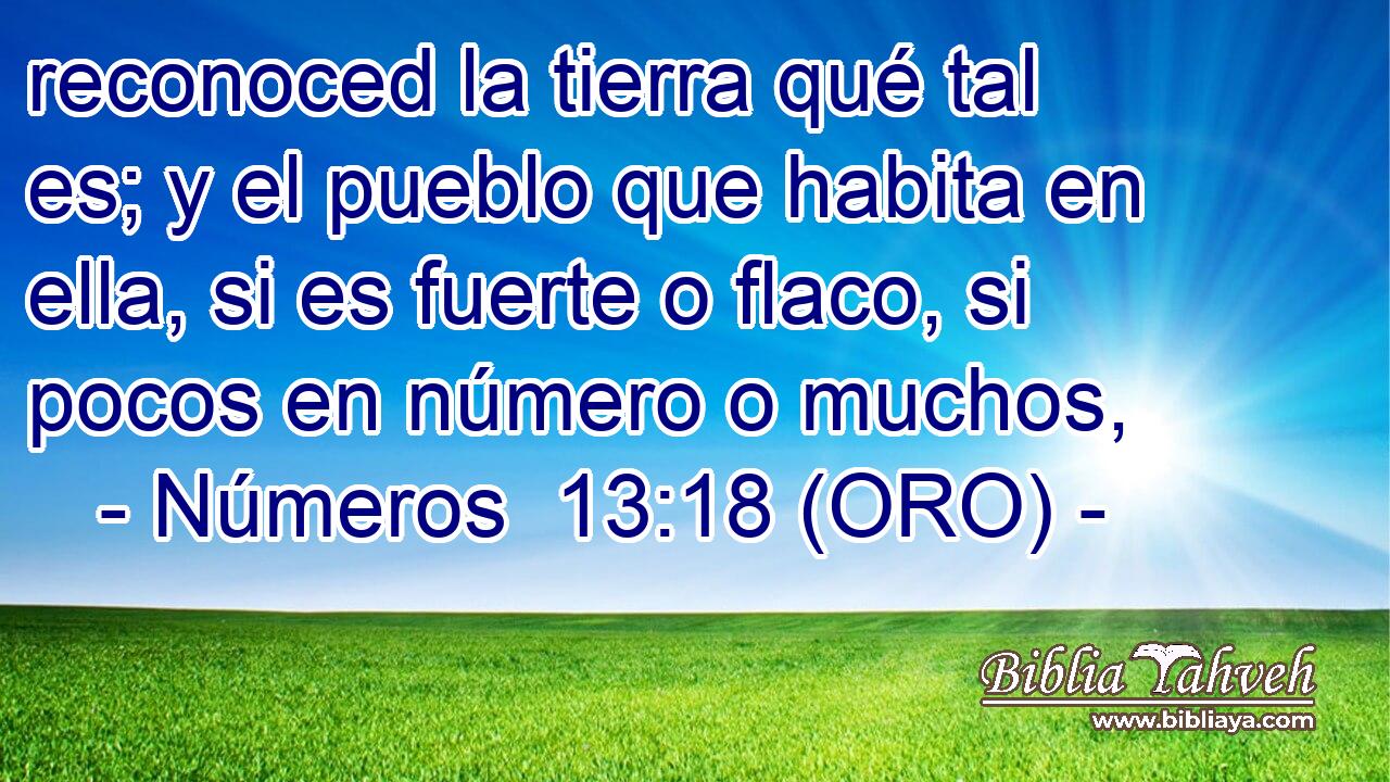  reconoced la tierra qué tal es; y el pueblo que habita en ella, si es fuerte o flaco, si pocos en número o muchos, 