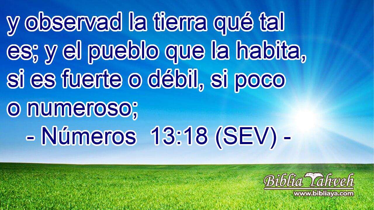 y observad la tierra qué tal es; y el pueblo que la habita, si es fuerte o débil, si poco o numeroso;