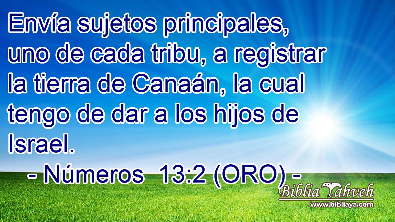 Envía sujetos principales, uno de cada tribu, a registrar la tierra de Canaán, la cual tengo de dar a los hijos de Israel. 