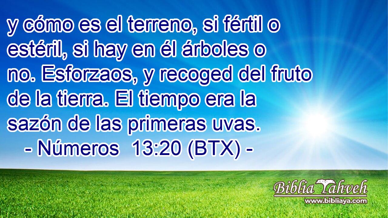 y cómo es el terreno, si fértil o estéril, si hay en él árboles o no. Esforzaos, y recoged del fruto de la tierra. El tiempo era la sazón de las primeras uvas.