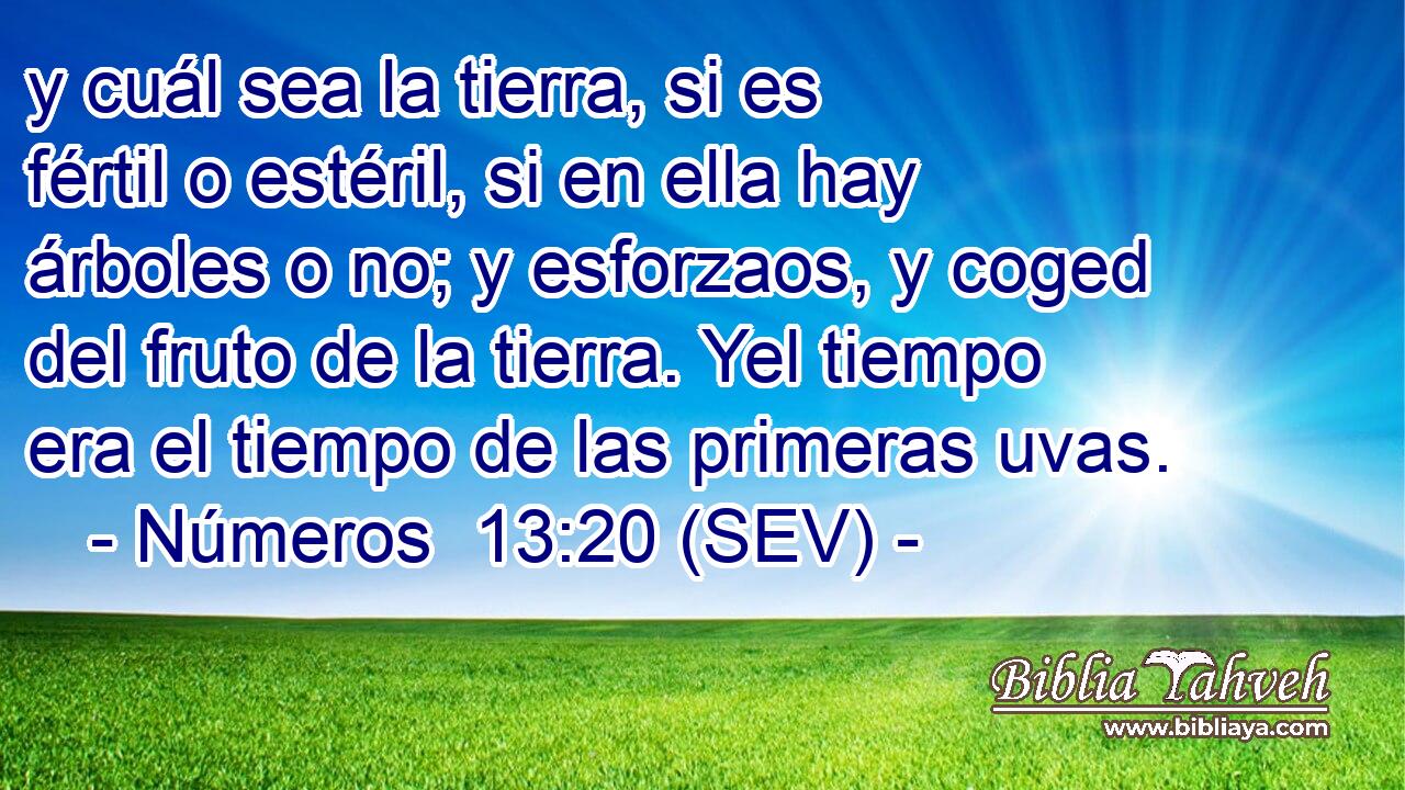 y cuál sea la tierra, si es fértil o estéril, si en ella hay árboles o no; y esforzaos, y coged del fruto de la tierra. Yel tiempo era el tiempo de las primeras uvas.