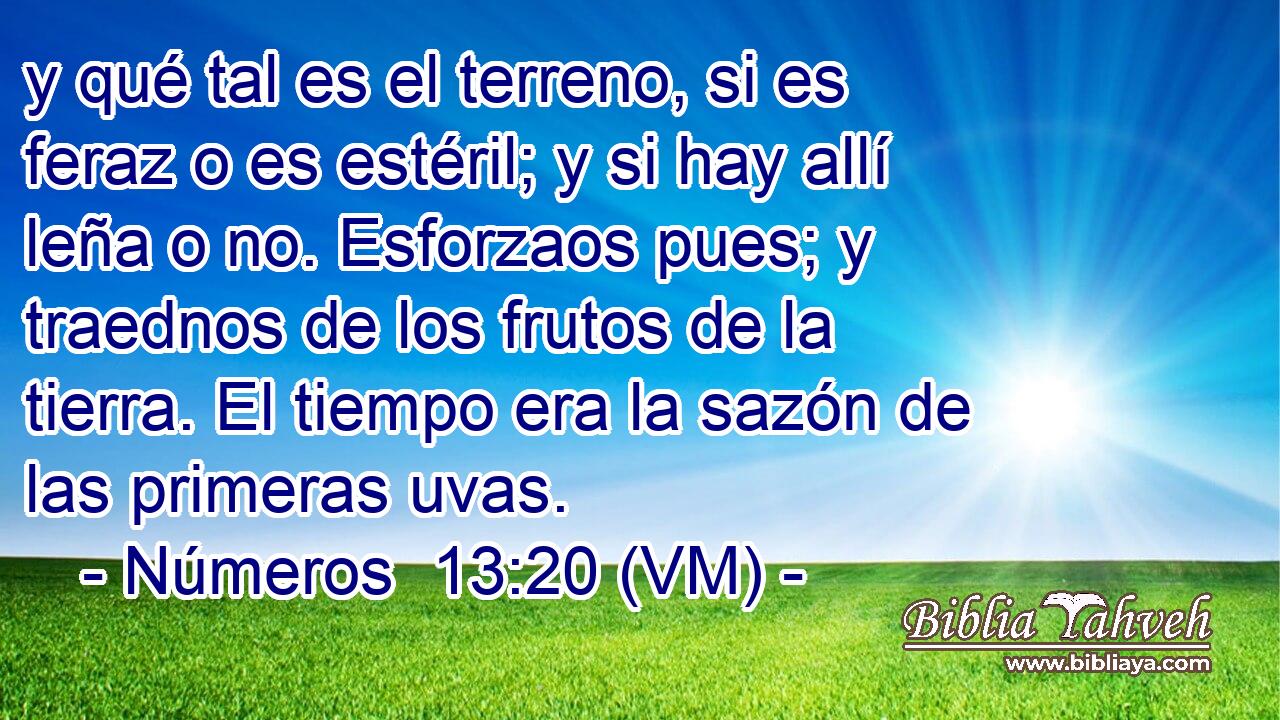  y qué tal es el terreno, si es feraz o es estéril; y si hay allí leña o no. Esforzaos pues; y traednos de los frutos de la tierra. El tiempo era la sazón de las primeras uvas. 
