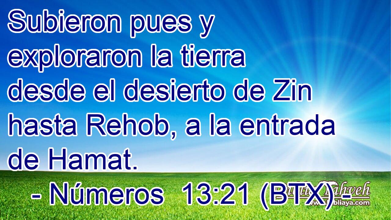 Subieron pues y exploraron la tierra desde el desierto de Zin hasta Rehob, a la entrada de Hamat.