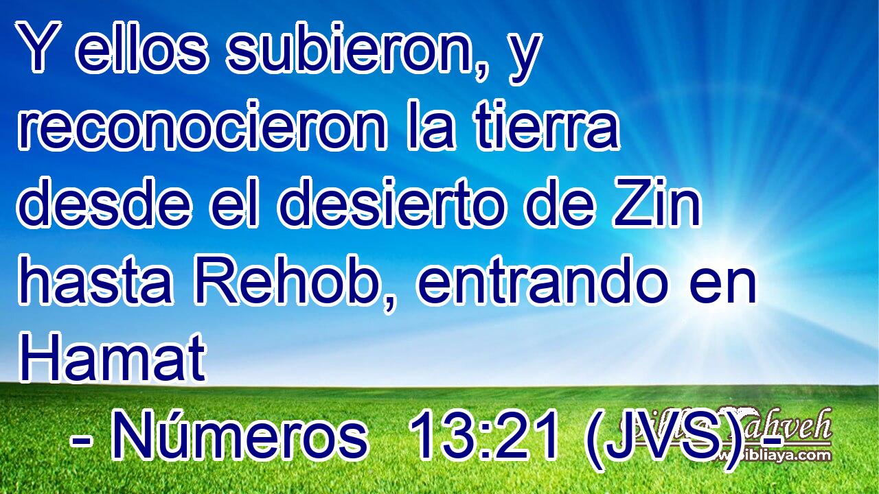 Y ellos subieron, y reconocieron la tierra desde el desierto de Zin hasta Rehob, entrando en Hamat