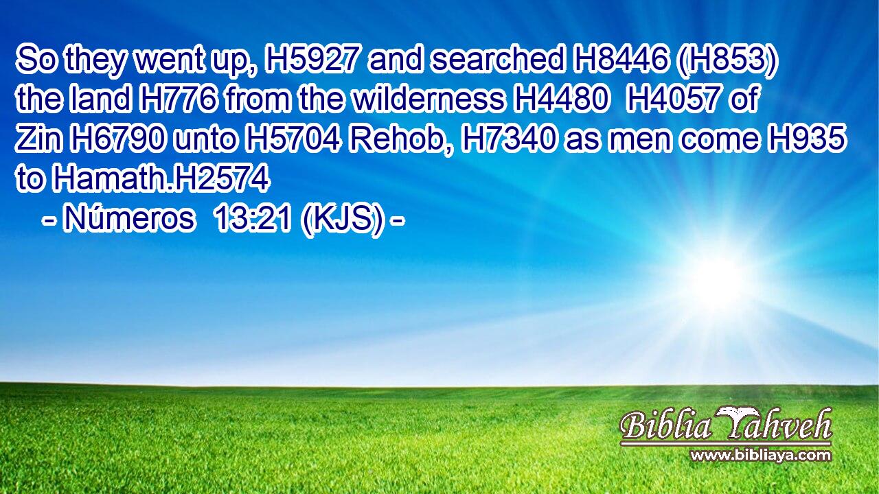 So they went up, H5927 and searched H8446 (H853) the land H776 from the wilderness H4480  H4057 of Zin H6790 unto H5704 Rehob, H7340 as men come H935 to Hamath.H2574
