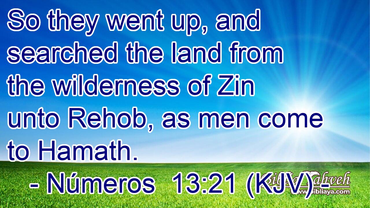 So they went up, and searched the land from the wilderness of Zin unto Rehob, as men come to Hamath.