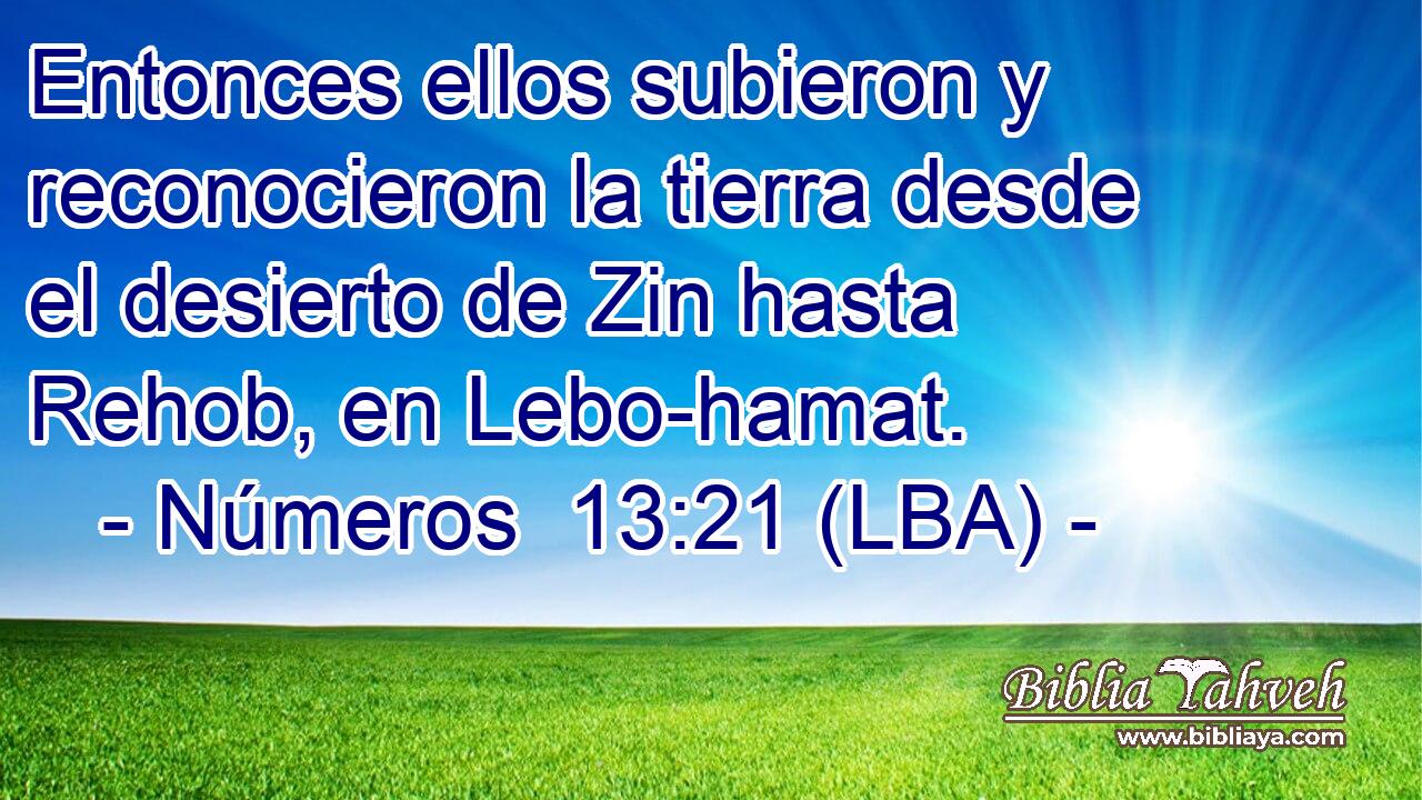 Entonces ellos subieron y reconocieron la tierra desde el desierto de Zin hasta Rehob, en Lebo-hamat.