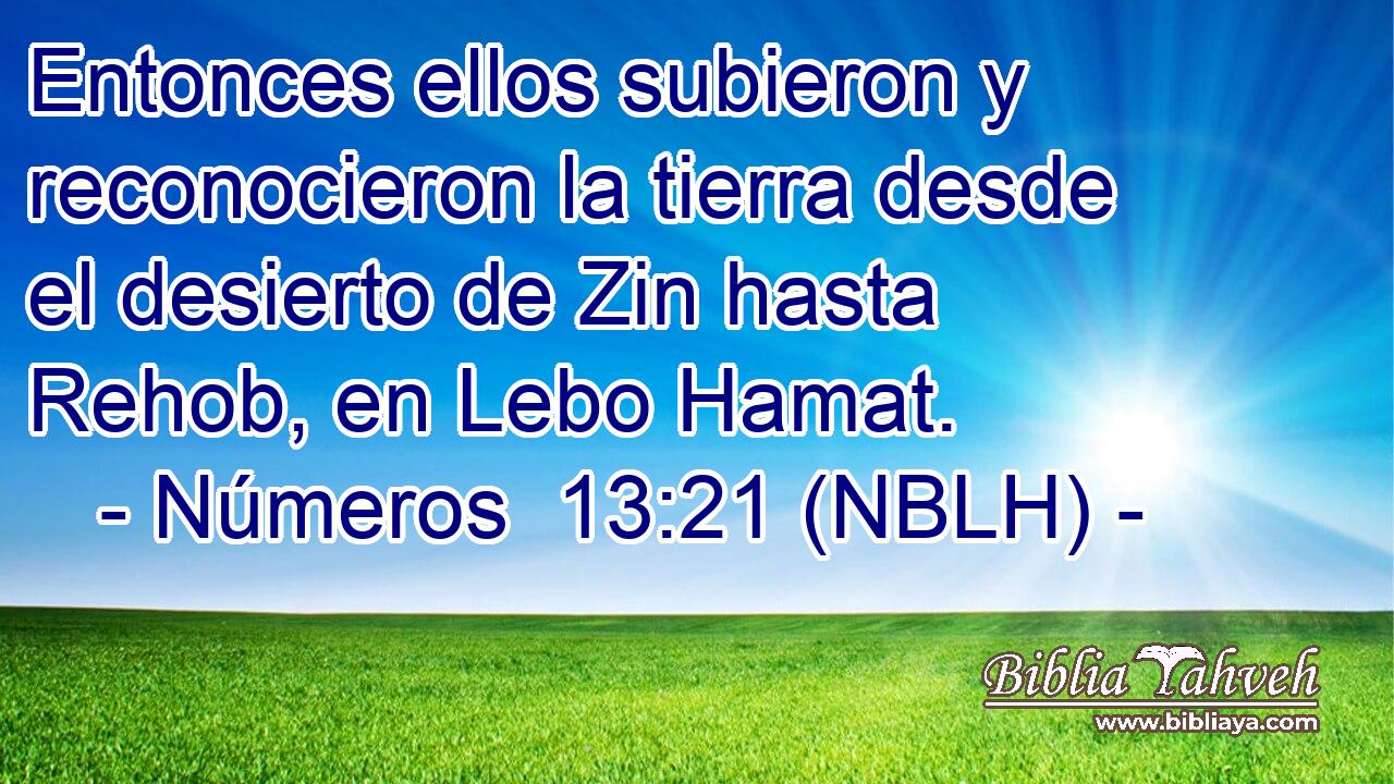  Entonces ellos subieron y reconocieron la tierra desde el desierto de Zin hasta Rehob, en Lebo Hamat. 