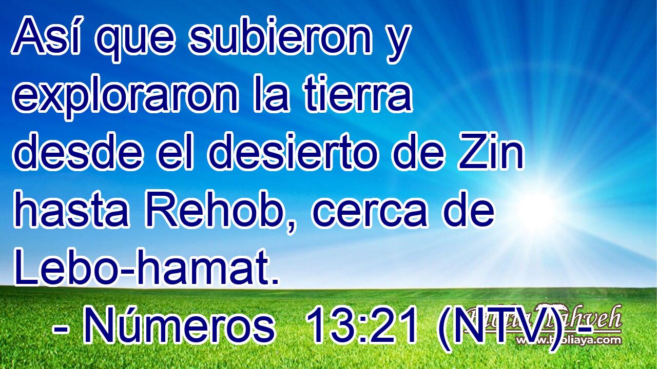 Así que subieron y exploraron la tierra desde el desierto de Zin hasta Rehob, cerca de Lebo-hamat.