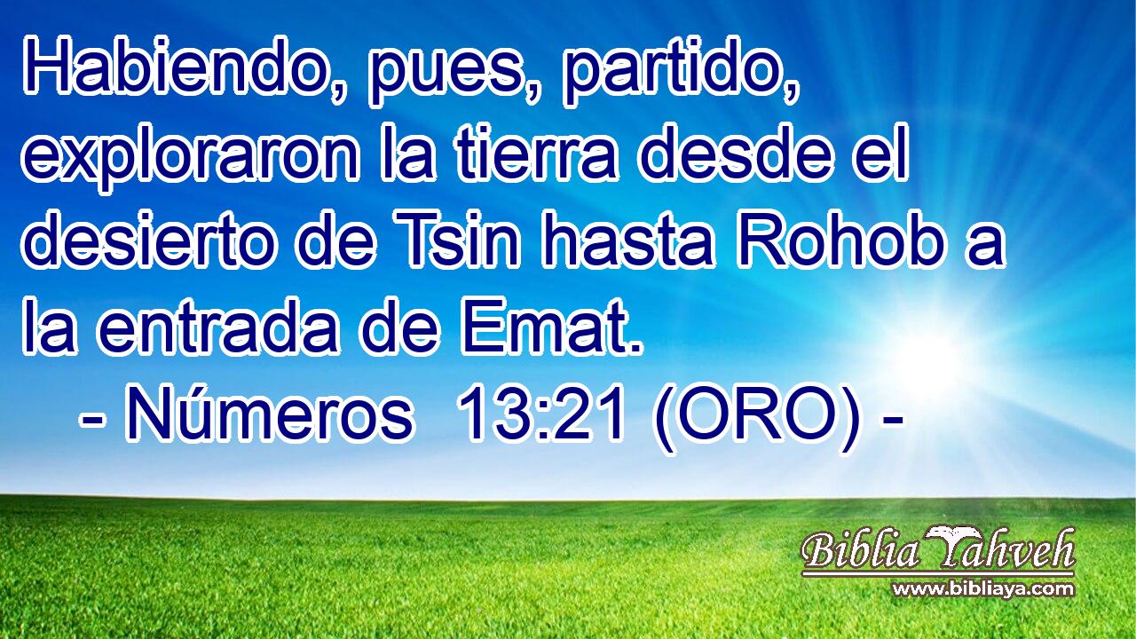  Habiendo, pues, partido, exploraron la tierra desde el desierto de Tsin hasta Rohob a la entrada de Emat. 